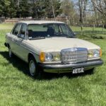 Front view of a light ivory Mercedes 240D parked on grass, showcasing its classic design.